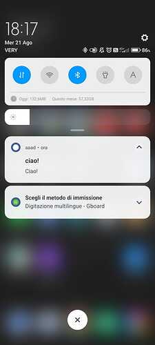 Immagine WhatsApp 2024-08-21 ore 18.17.41_ed8e8eb9